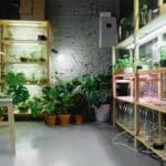 best grow lights for indoor plants