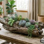 driftwood succulent arrangement