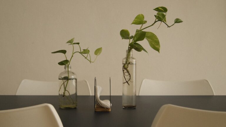 succulent plants table centerpiece