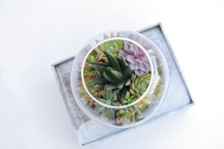 centerpieces with succulents