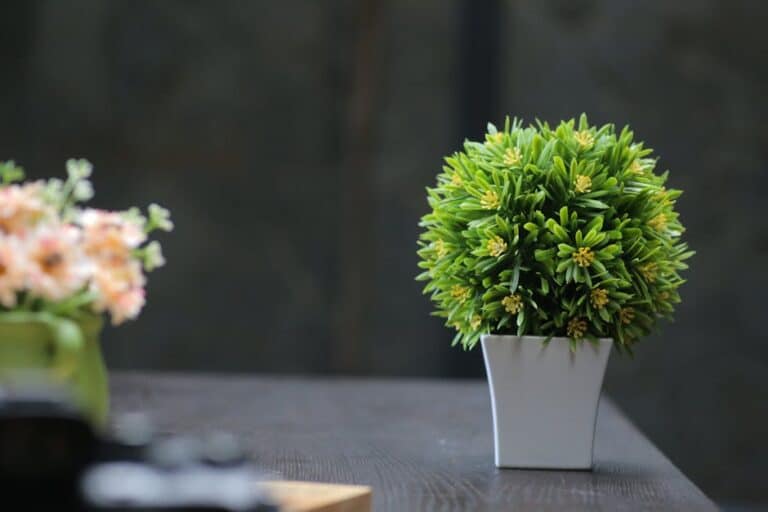 artificial succulent centerpieces