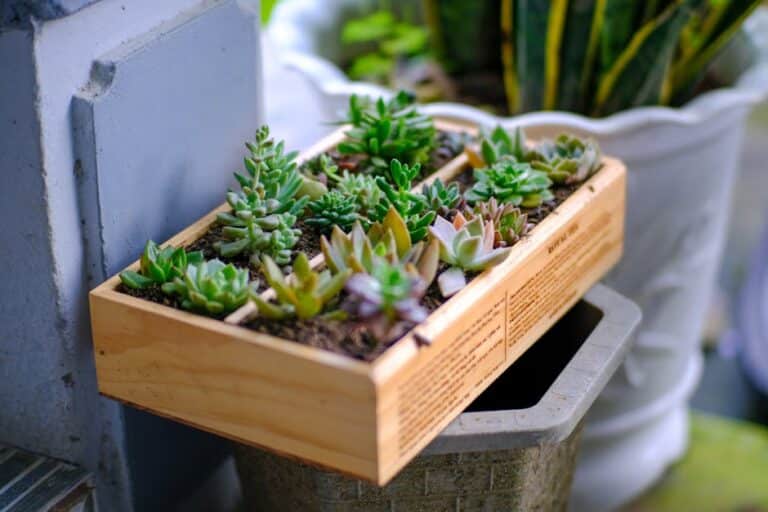 outdoor succulent planter ideas