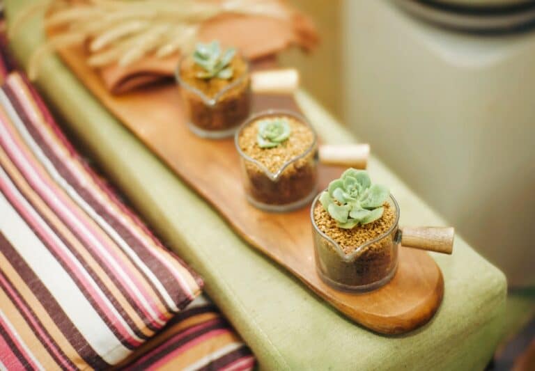 heart shaped succulent arrangement